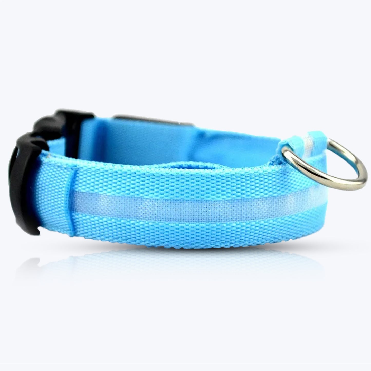 Luminous Collar For Dark Nights