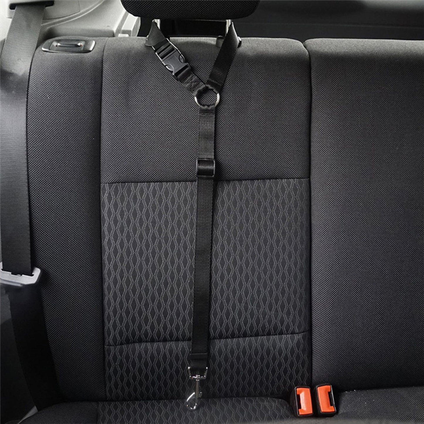 Car Seat Belt Lead