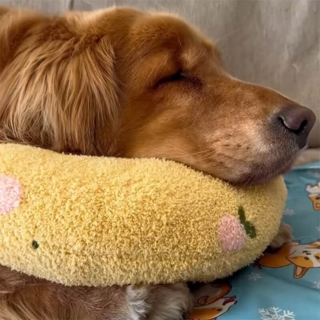 Dog Calming Pillow