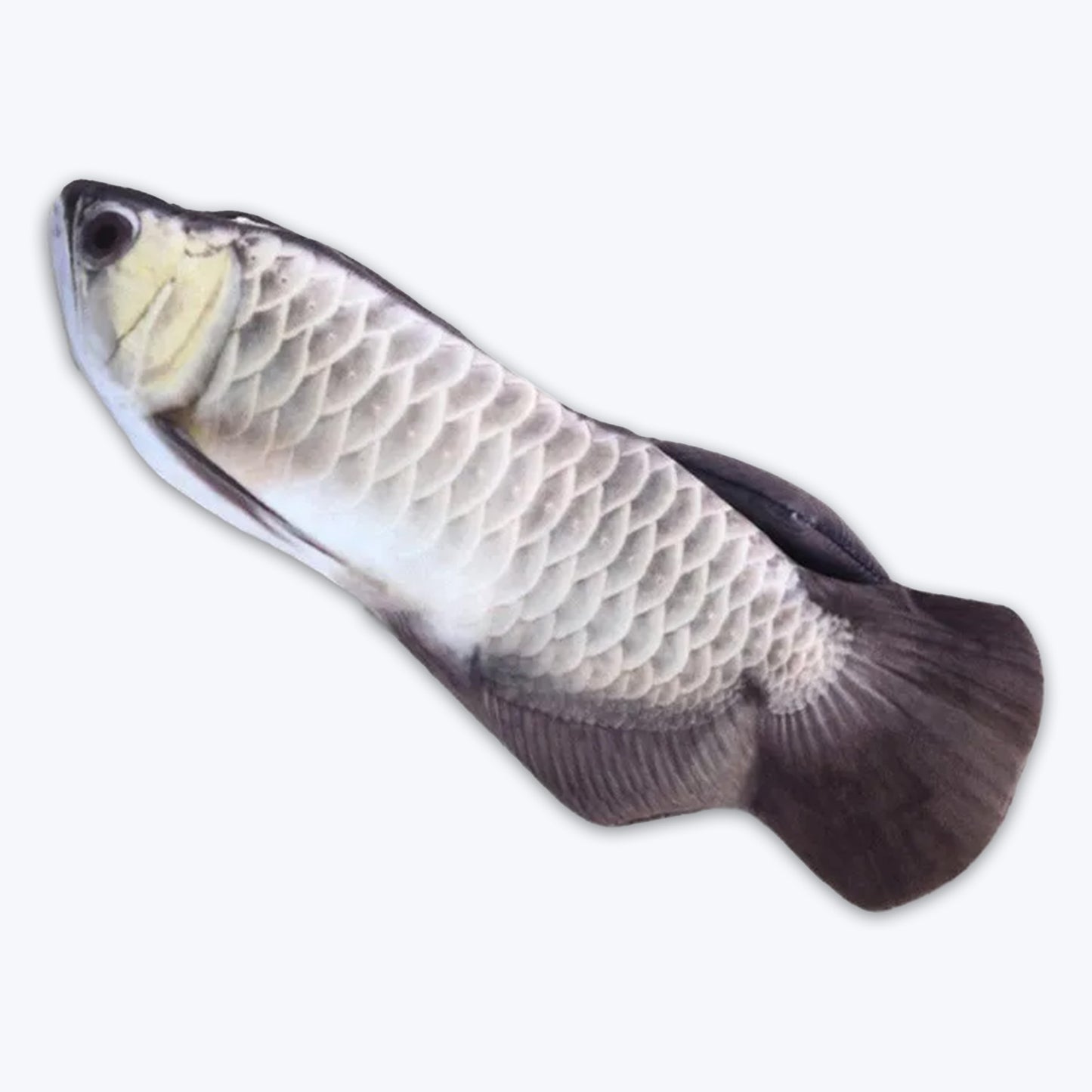 Floppy Fish + USB Charging Cable