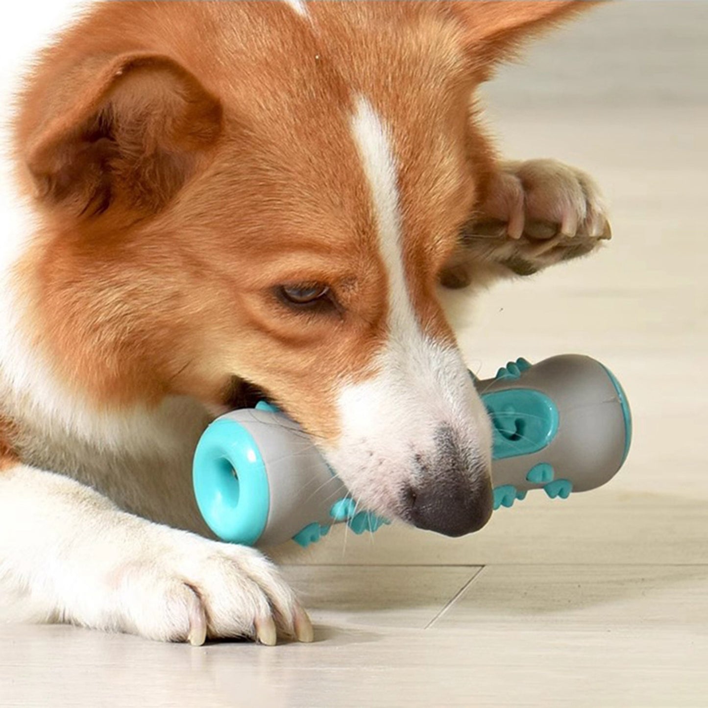 The PoochChew™