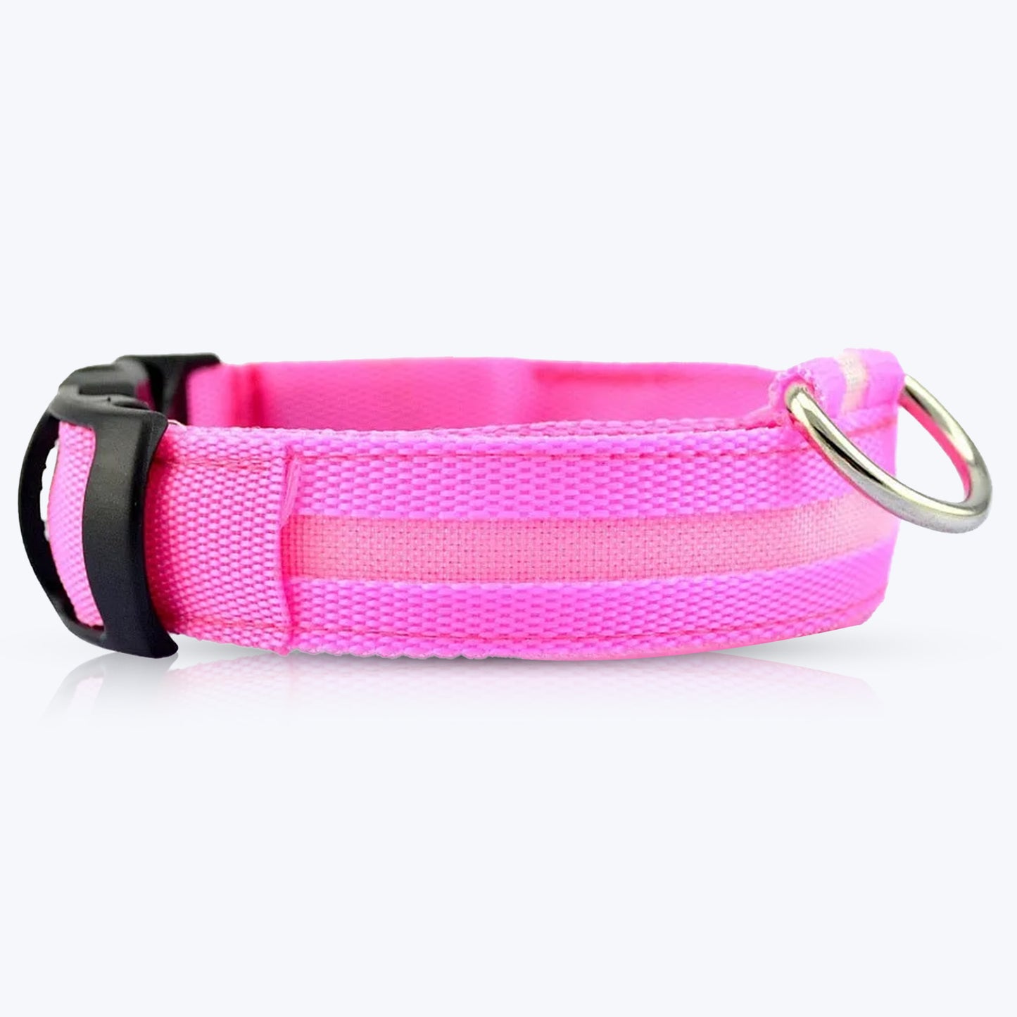 Luminous Collar For Dark Nights