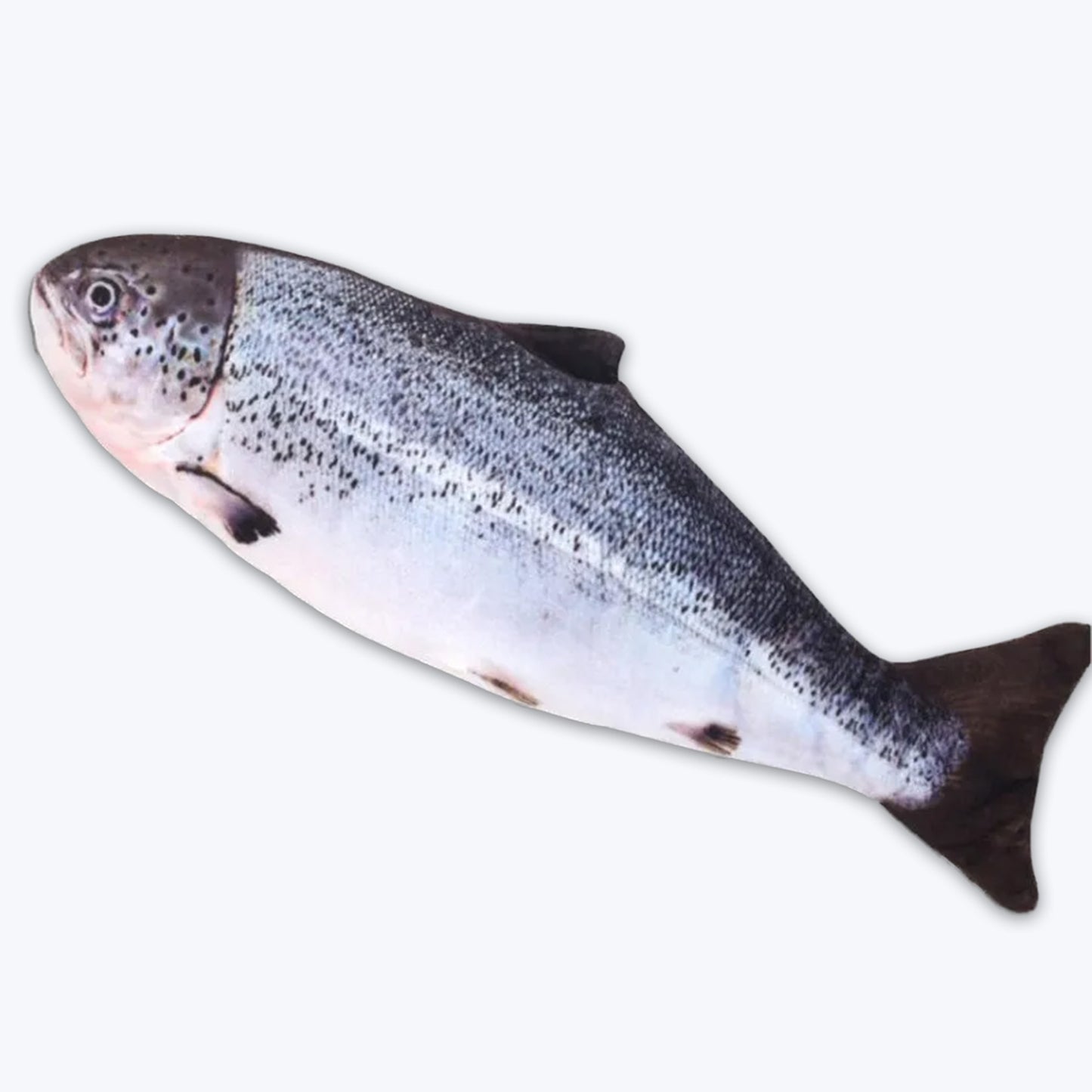 Floppy Fish + USB Charging Cable