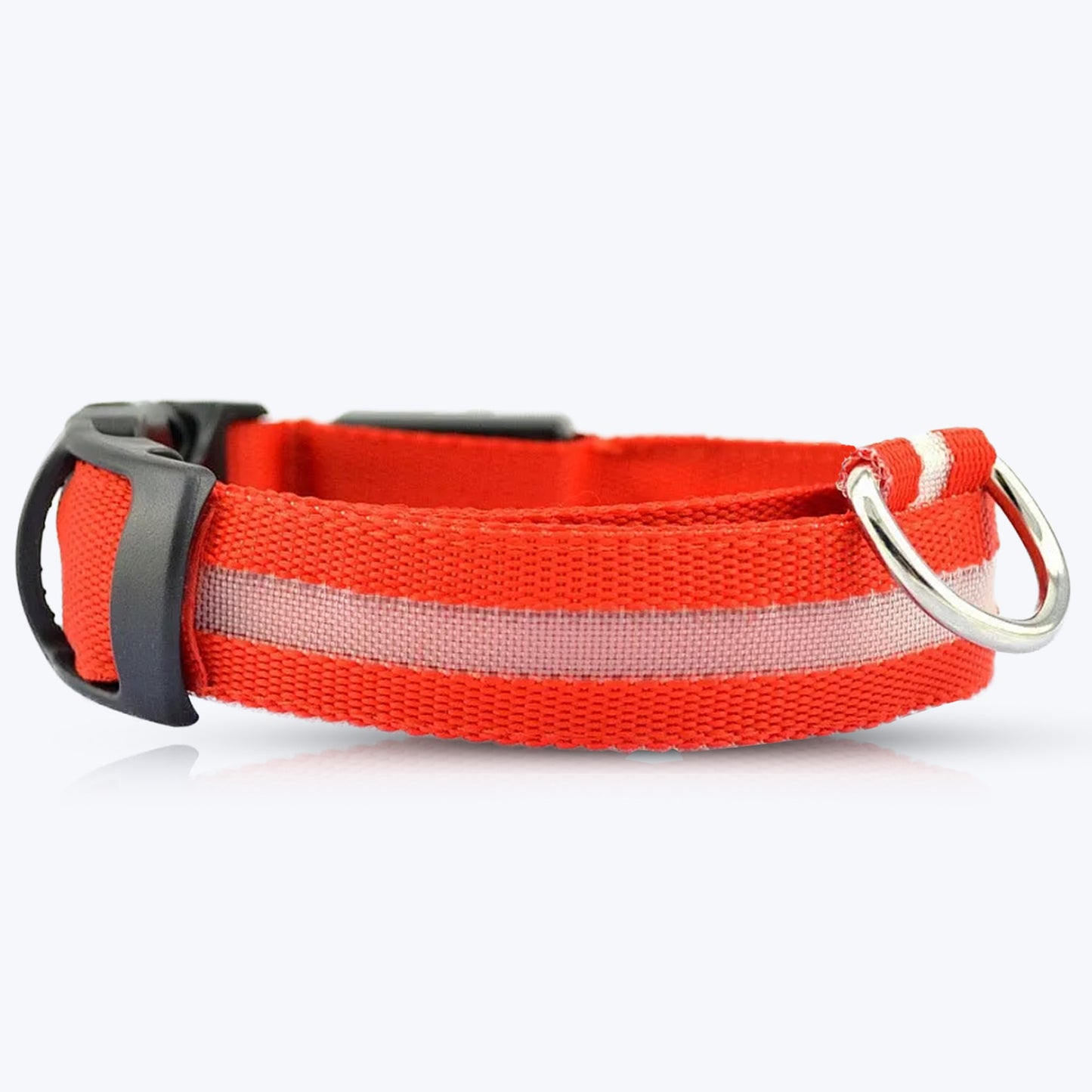 Luminous Collar For Dark Nights