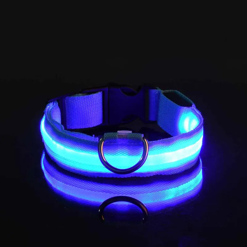 Luminous Collar For Dark Nights