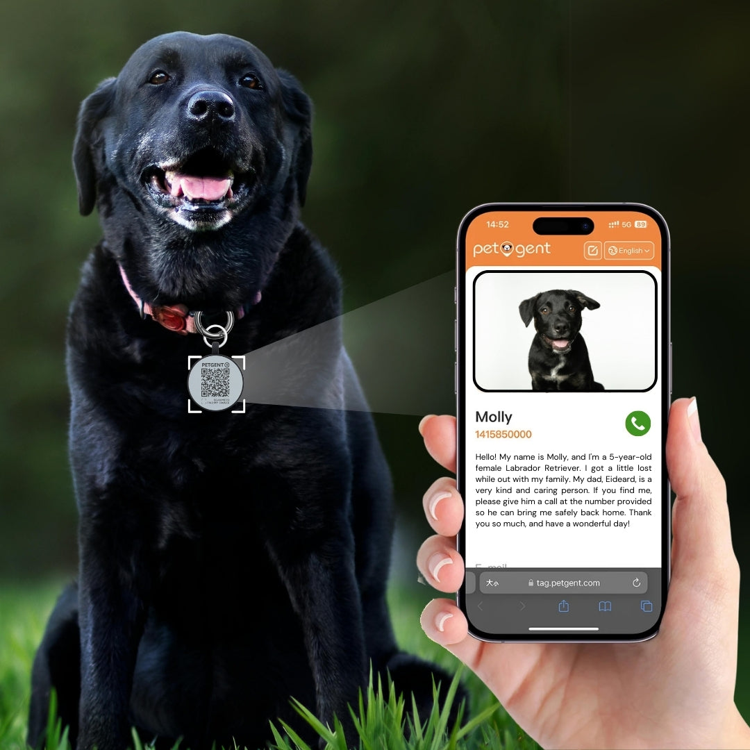 PetLink QR Tag™