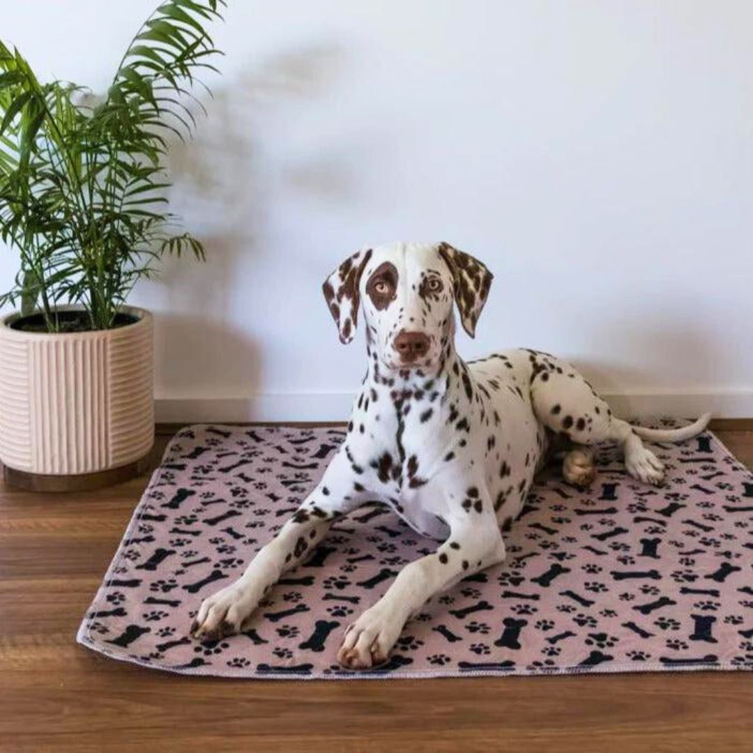 The PoochPad