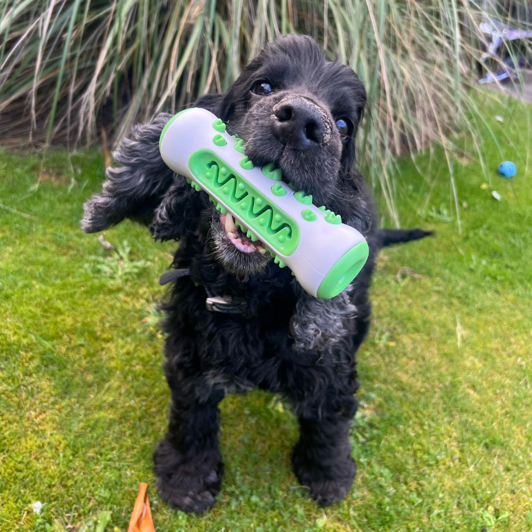 The PoochChew™