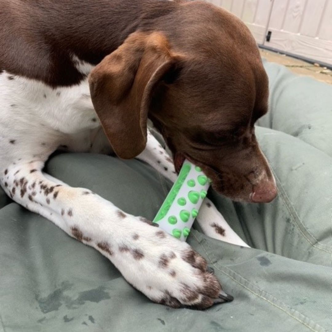 The PoochChew™