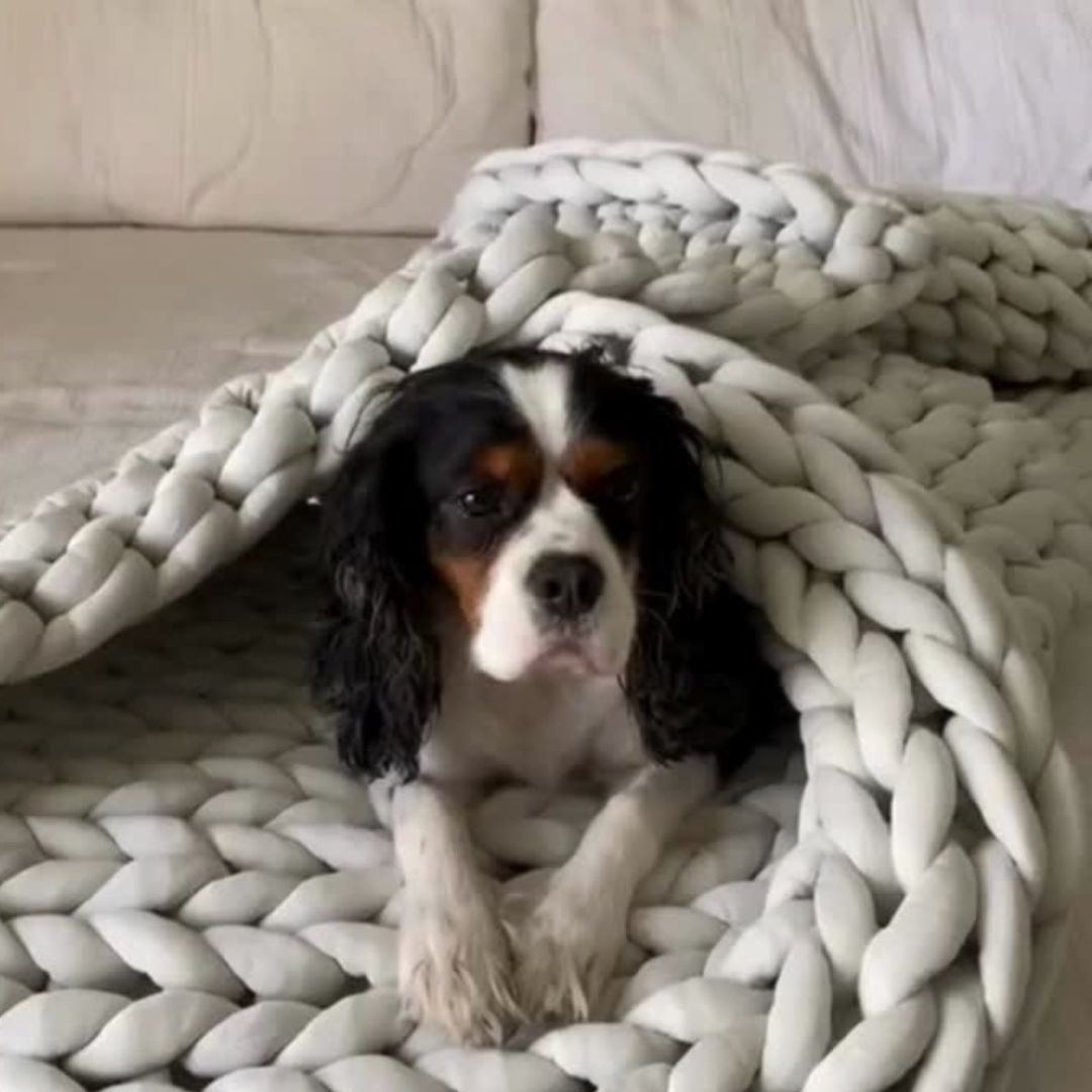 PoochPeace™ Weighted Blanket
