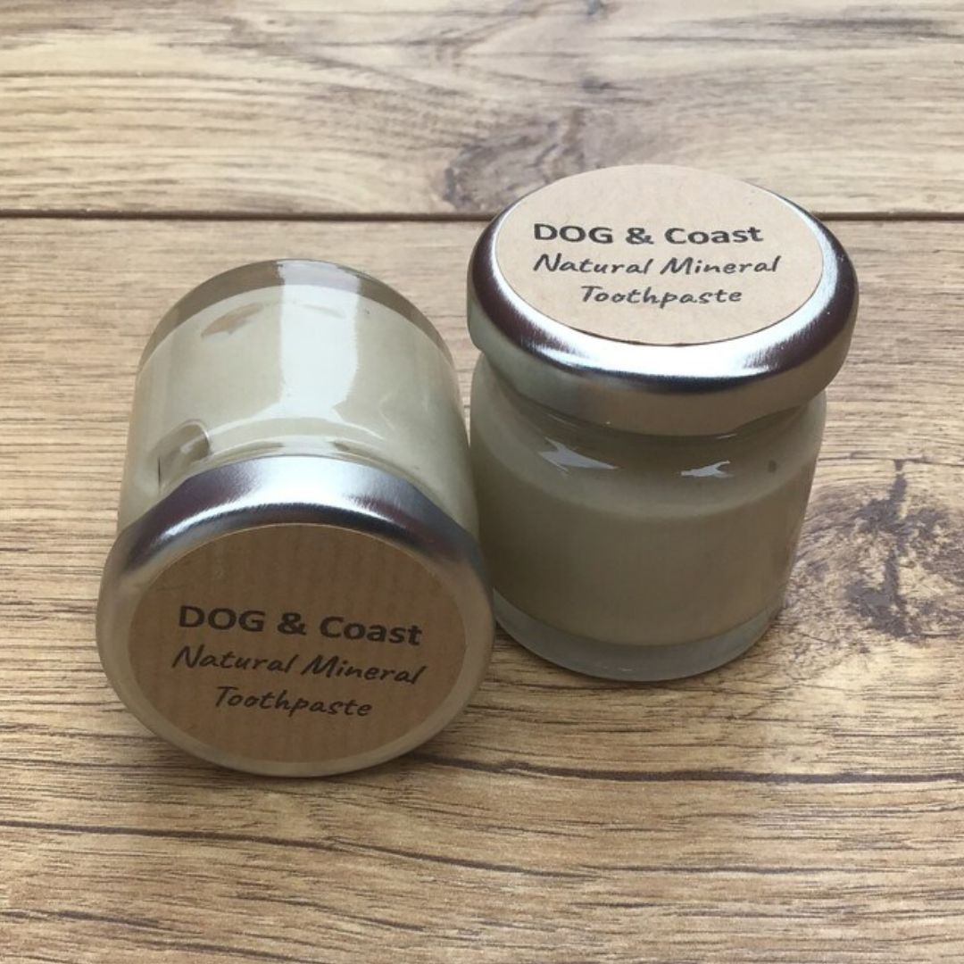 Organic Dog Toothpaste (45ml)