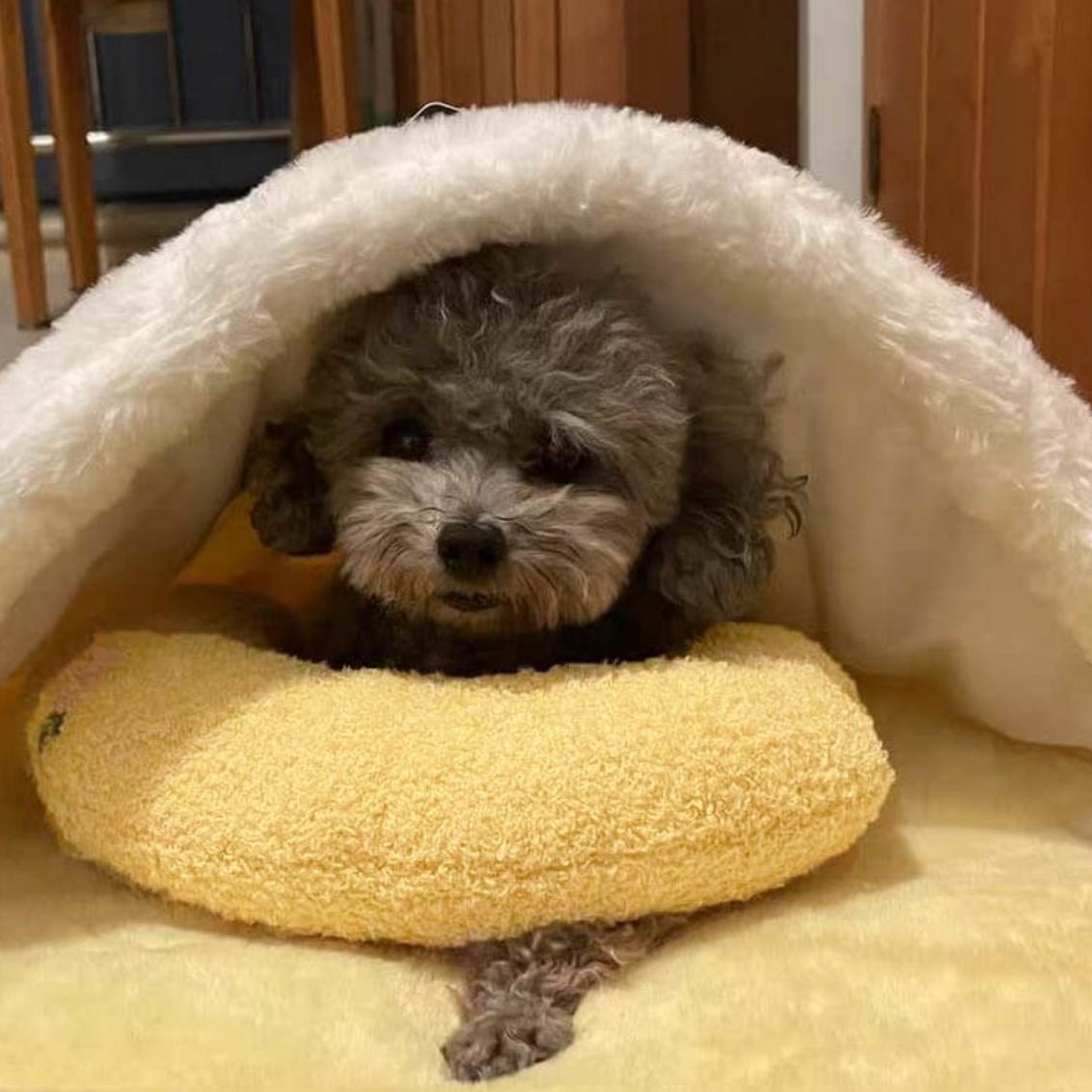 Dog Calming Pillow