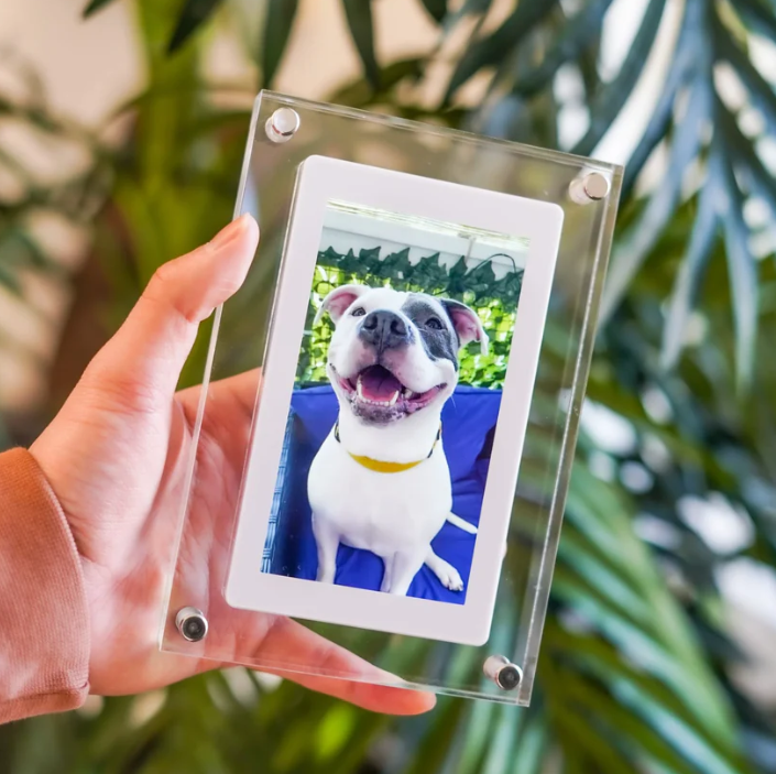 MemoryPaws™ Digital Frame