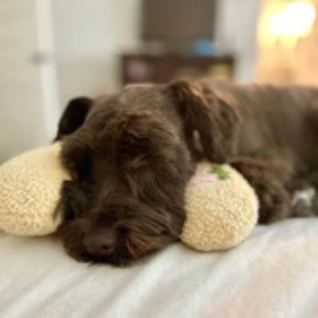 Dog Calming Pillow