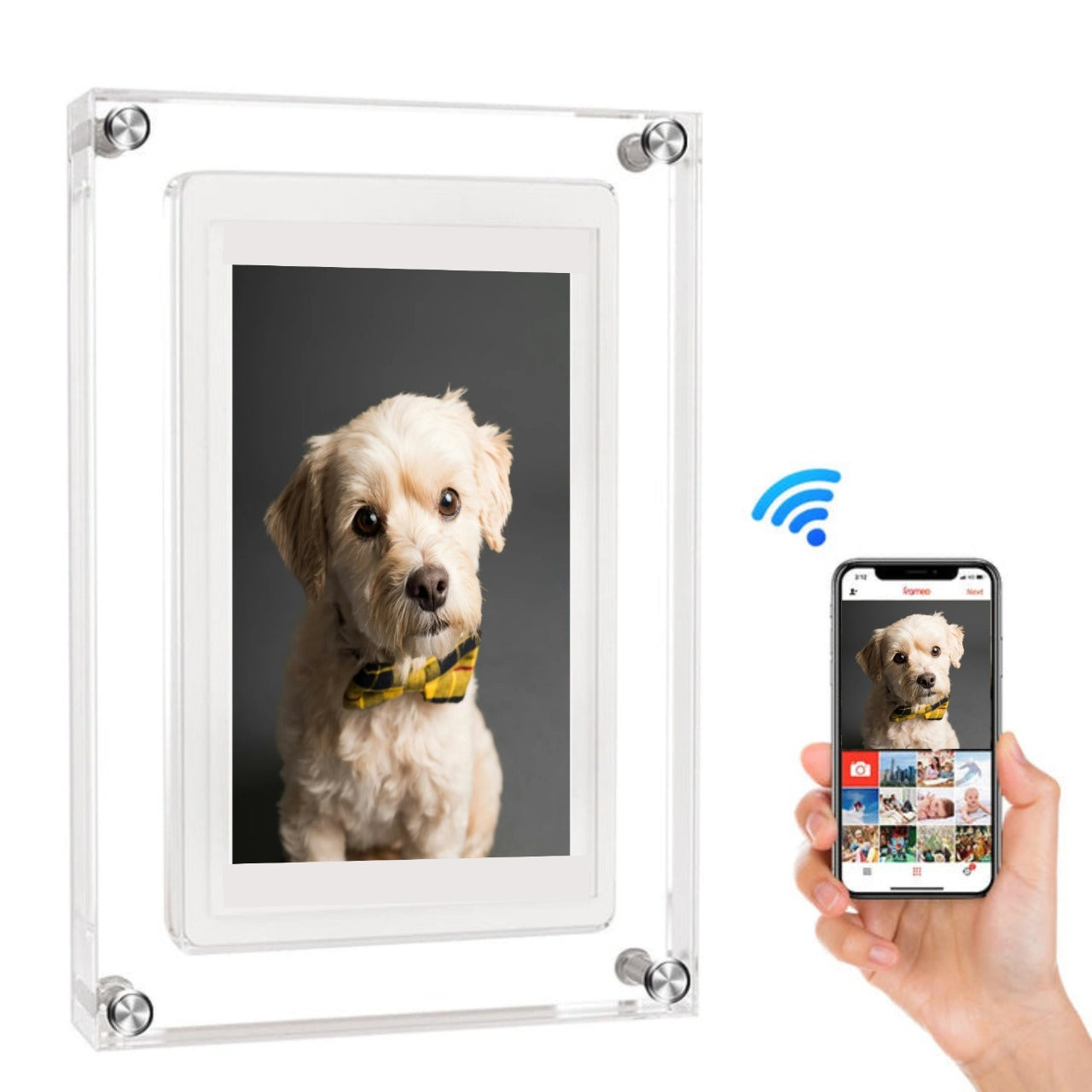 MemoryPaws™ Digital Frame