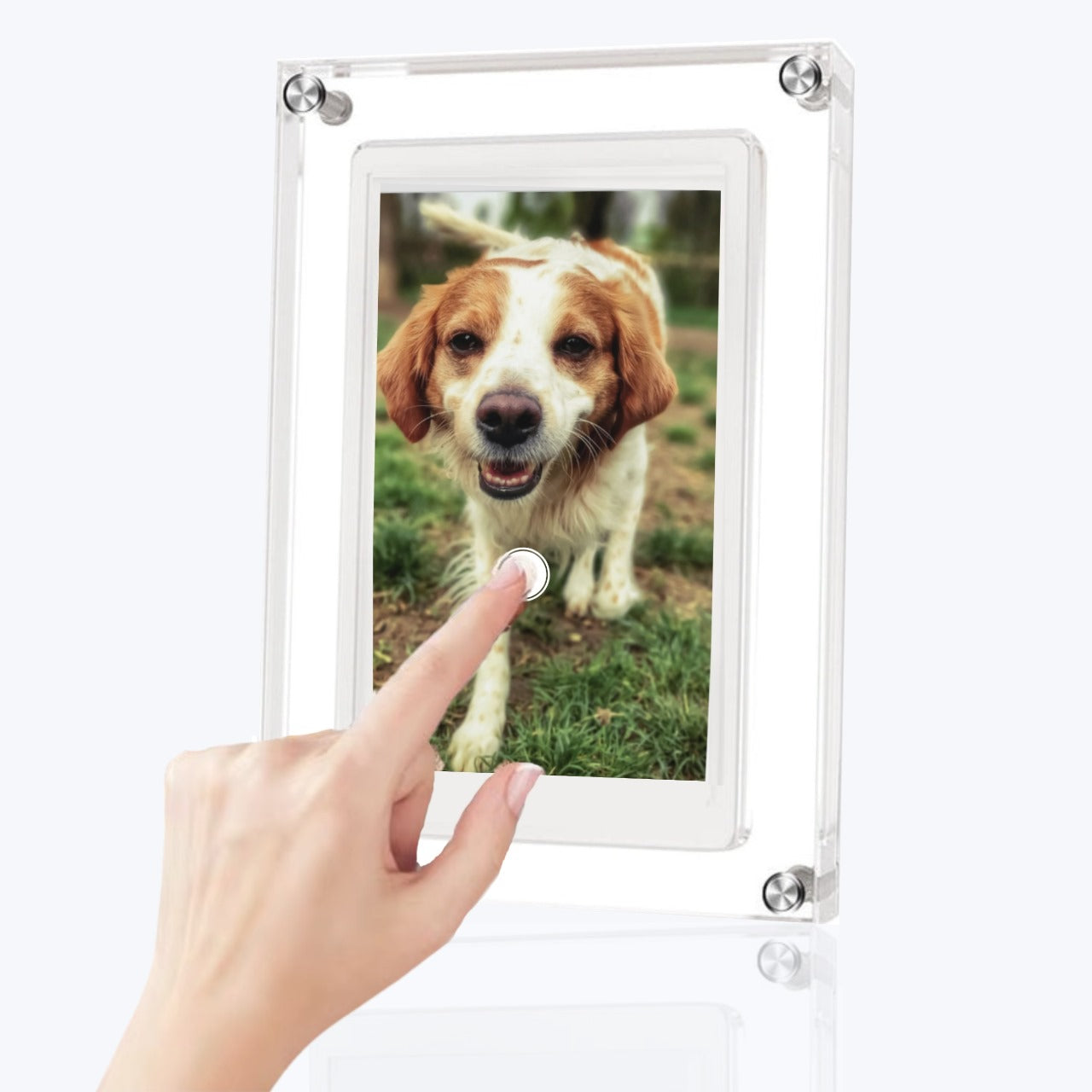 MemoryPaws™ Digital Frame