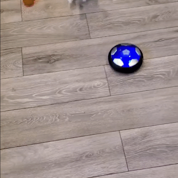 The PoochGlider | Automatic Hovering Ball