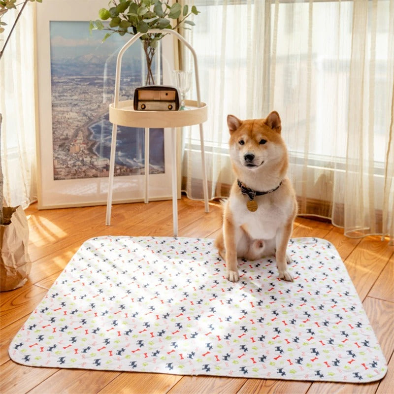 The PoochPad