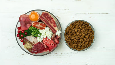 Can I Feed My Dog Raw And Kibble?