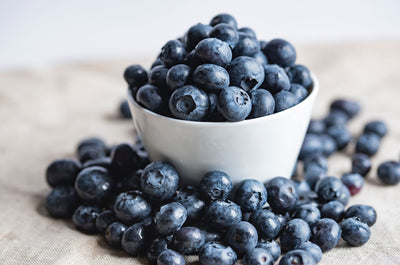 15 Healthy Human Foods Your Dog Will Love!