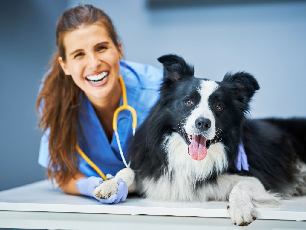 Essential Vaccinations and Their Schedules for Your Dog