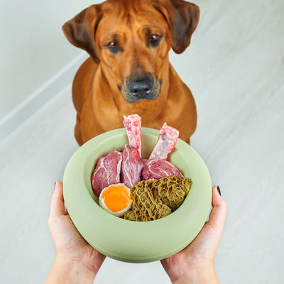 Scientists Determine if Raw Fed Dogs are Healthier