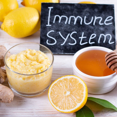 Key Budget-Friendly Supplements to Strengthen Your Dog's Immune Health
