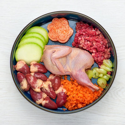 How to Choose the Right Raw Feeding Model