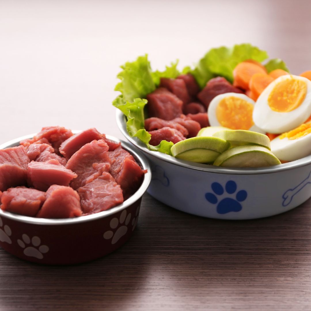 12 Nutritious Add-Ins to Elevate Your Dog's Kibble