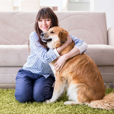 9 Natural Remedies for Common Dog Health Issues