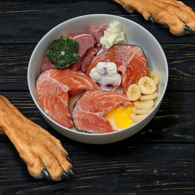Easiest Way to Transition a Dog to a Raw Diet
