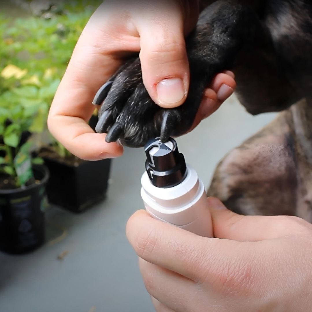 Professional dog nail grinder best sale