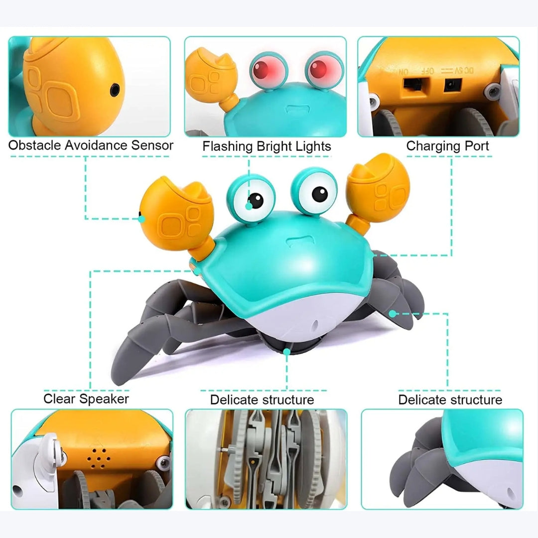 CrabChase™ - Interactive Pet Toy