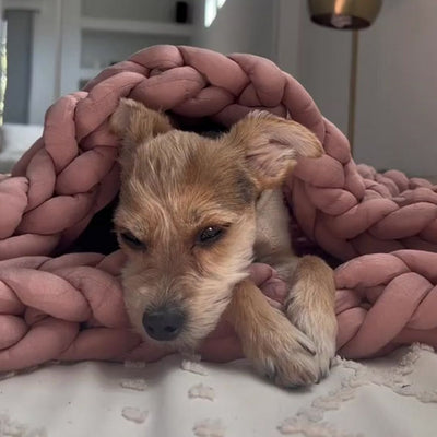 PoochPeace™ Weighted Blanket