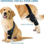 K9 FlexGuard™