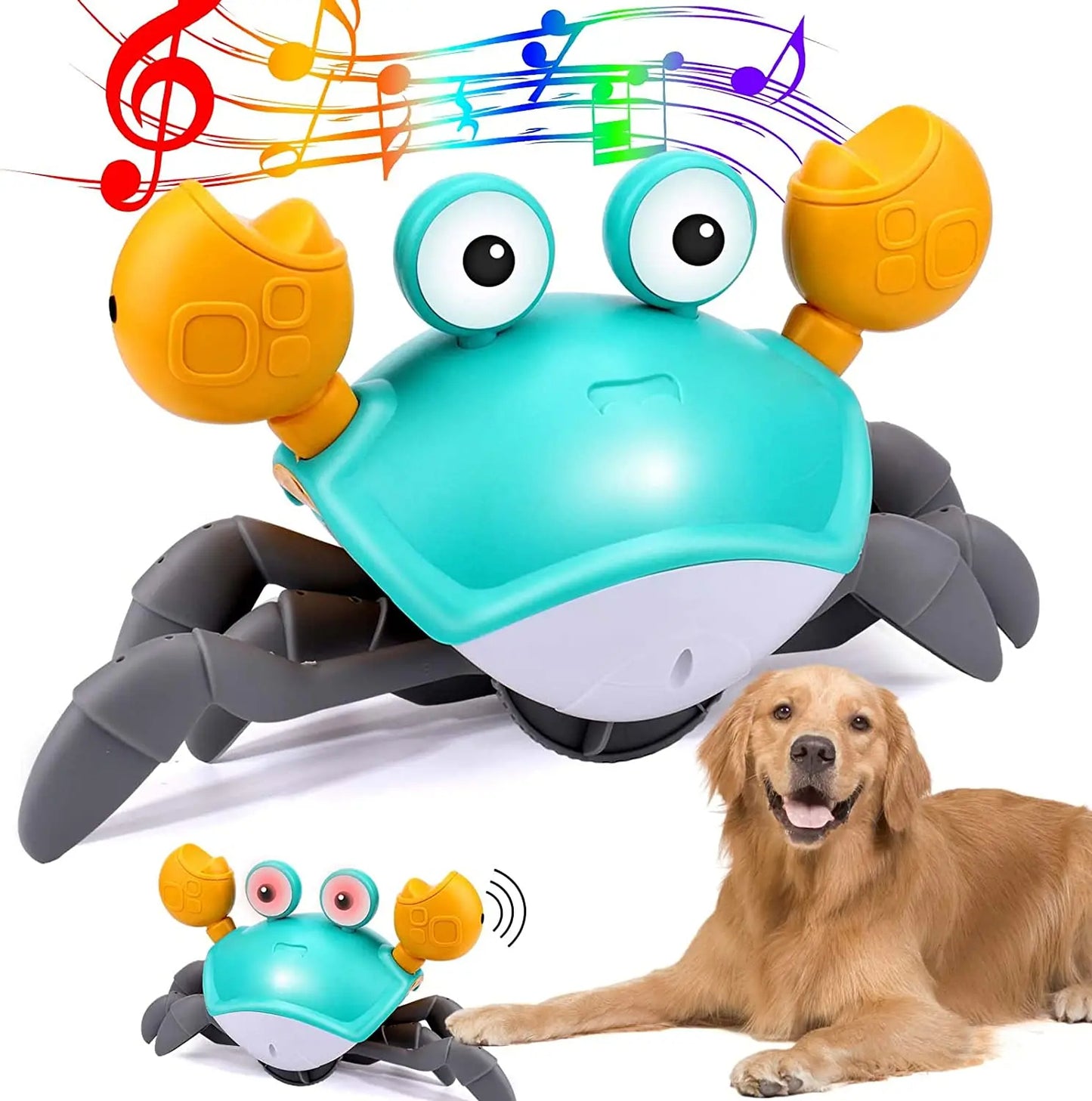 CrabChase™ - Interactive Pet Toy