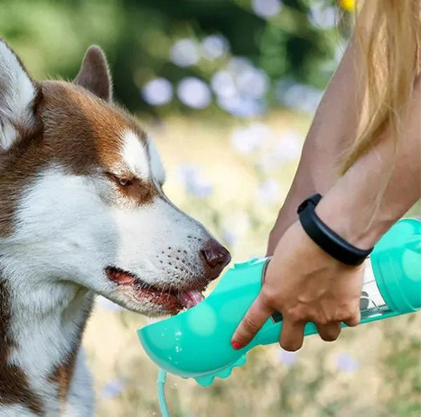 4 In 1 Dog Water Bottle & Food Storage